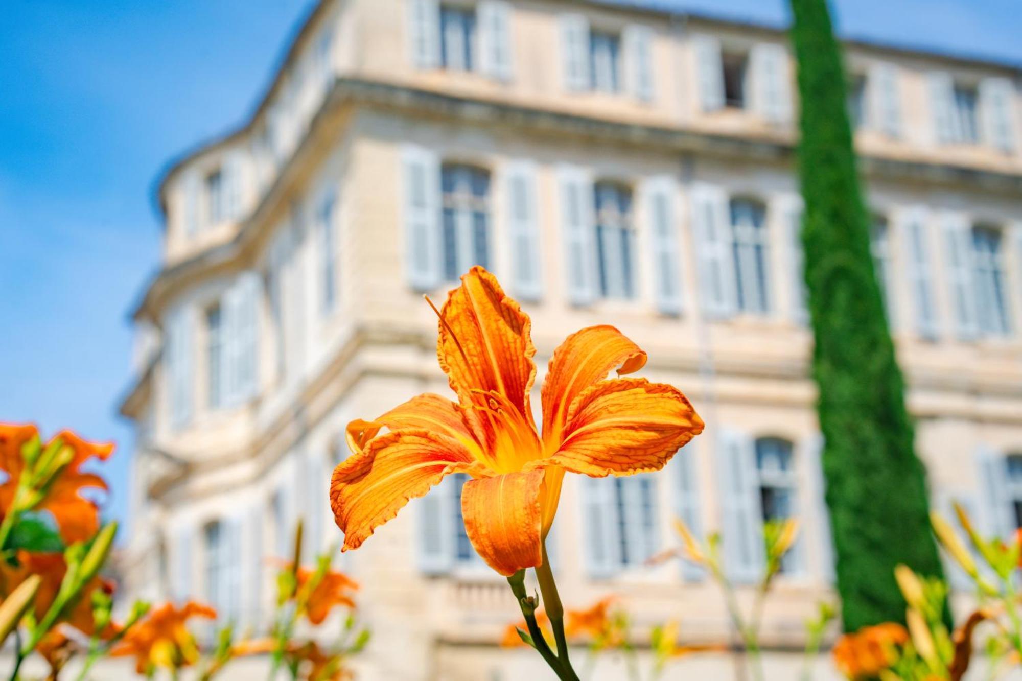 Chateau De Mazan, BW Premier Collection By Best Western Exteriér fotografie
